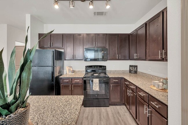 Anatole at Norman general photo - Anatole at Norman