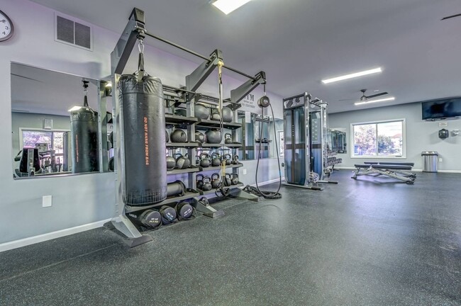 Fitness Center TRX Station - Hidden Creek