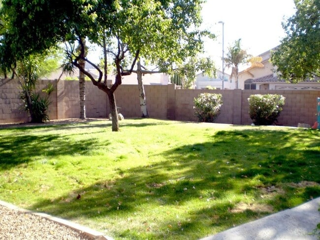 Photo - 2429 E Patrick Ln