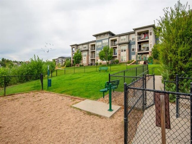 Dog Park - Avena Apartments