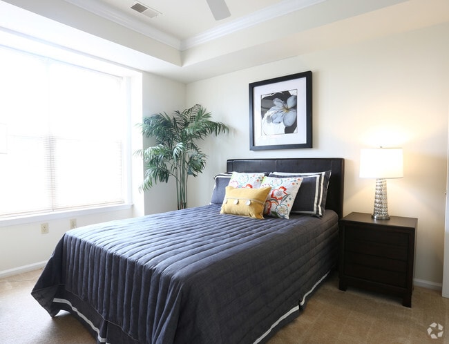 Primary Bedroom - Amberley at Blue Bell