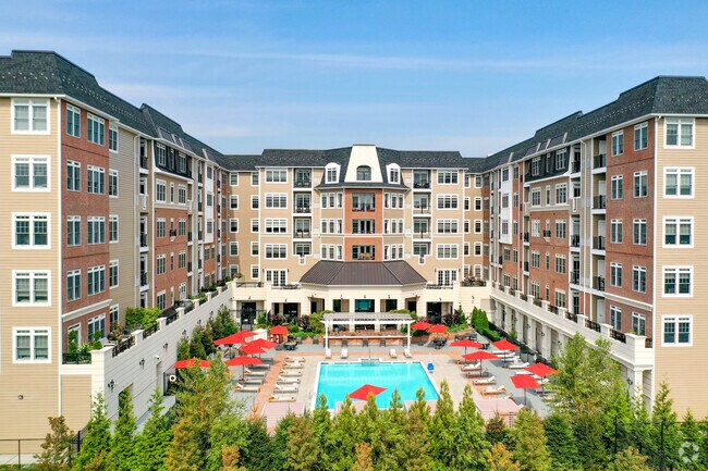 Pool - The Vanderbilt