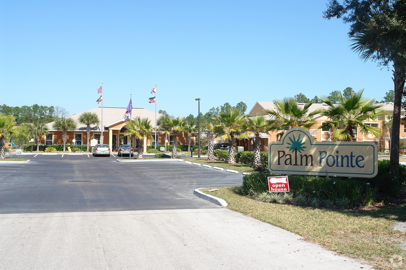 Palm pointe - Palm pointe