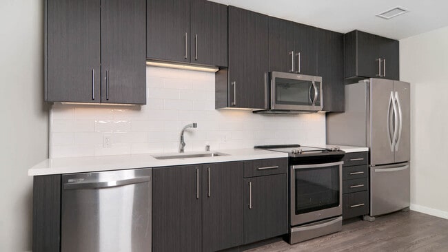 Kitchen with Stainless Steel Appliances - The Lex