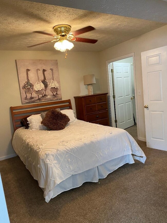 Photo - Willow Oaks Apartments