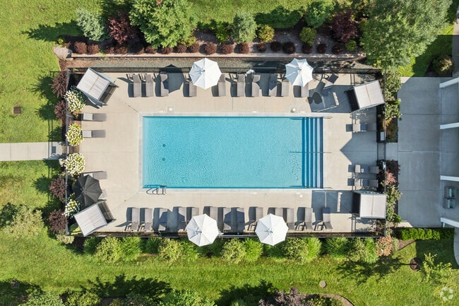 Pool - The Grand Luxury Apartments and Homes