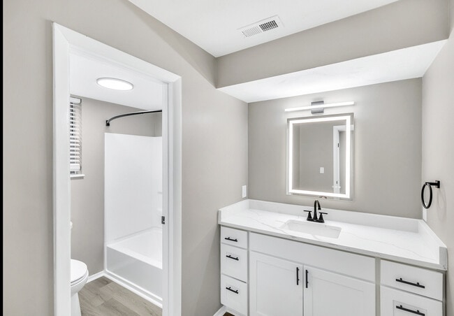 Renovated Bathroom - Green Tree Apartments