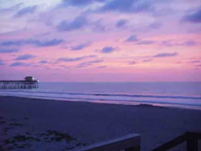 Photo - 141 California Ave Unit FL1-ID1044338P