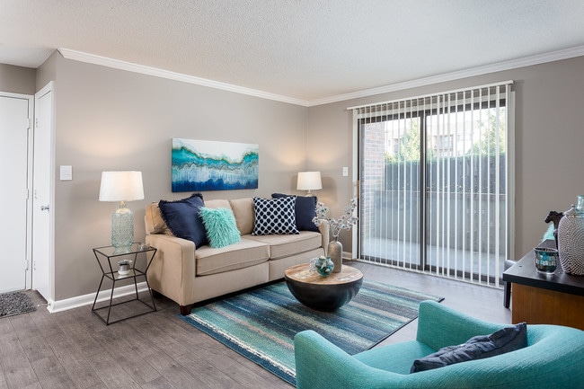 Photo - Colts Crossing