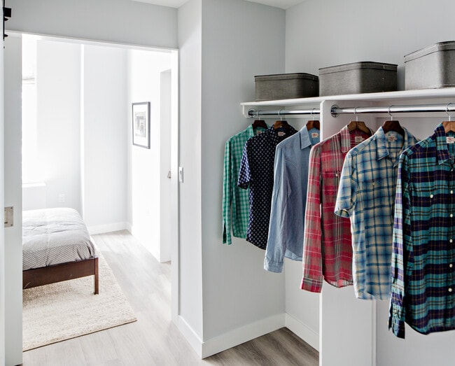 Walk-in closet - AVA DoBro