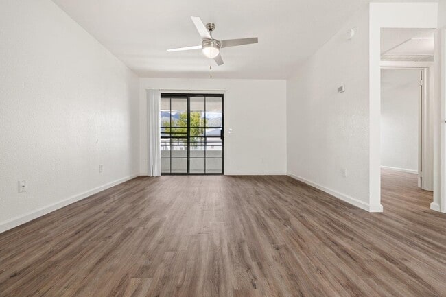 Photo - Cortland Sabino Canyon