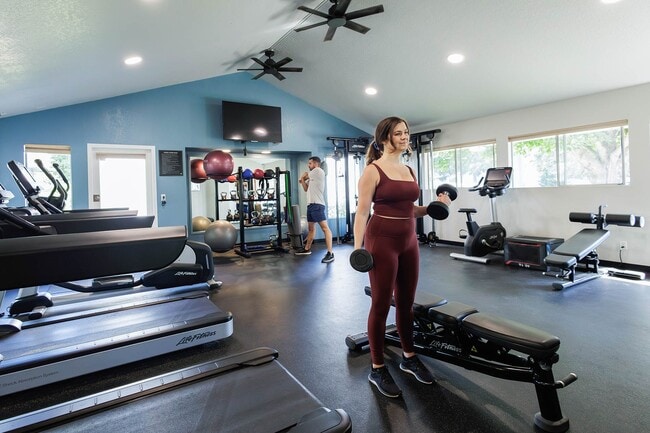 Photo - Hilltop in the Highlands