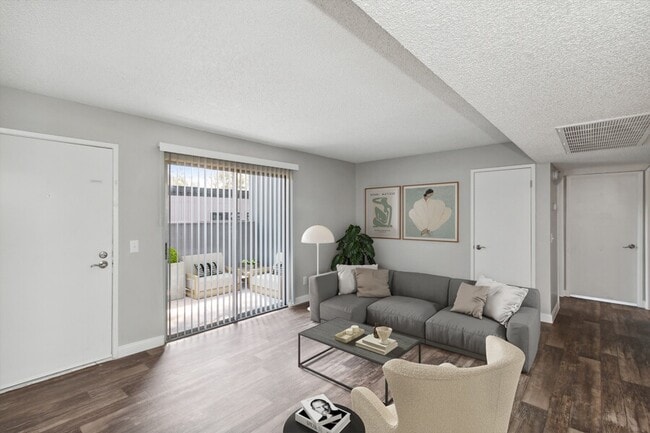 Photo - Accent on Rainbow