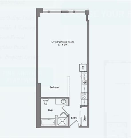 Primrose - 1A