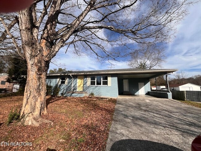 Photo - 3408 Hackberry Rd