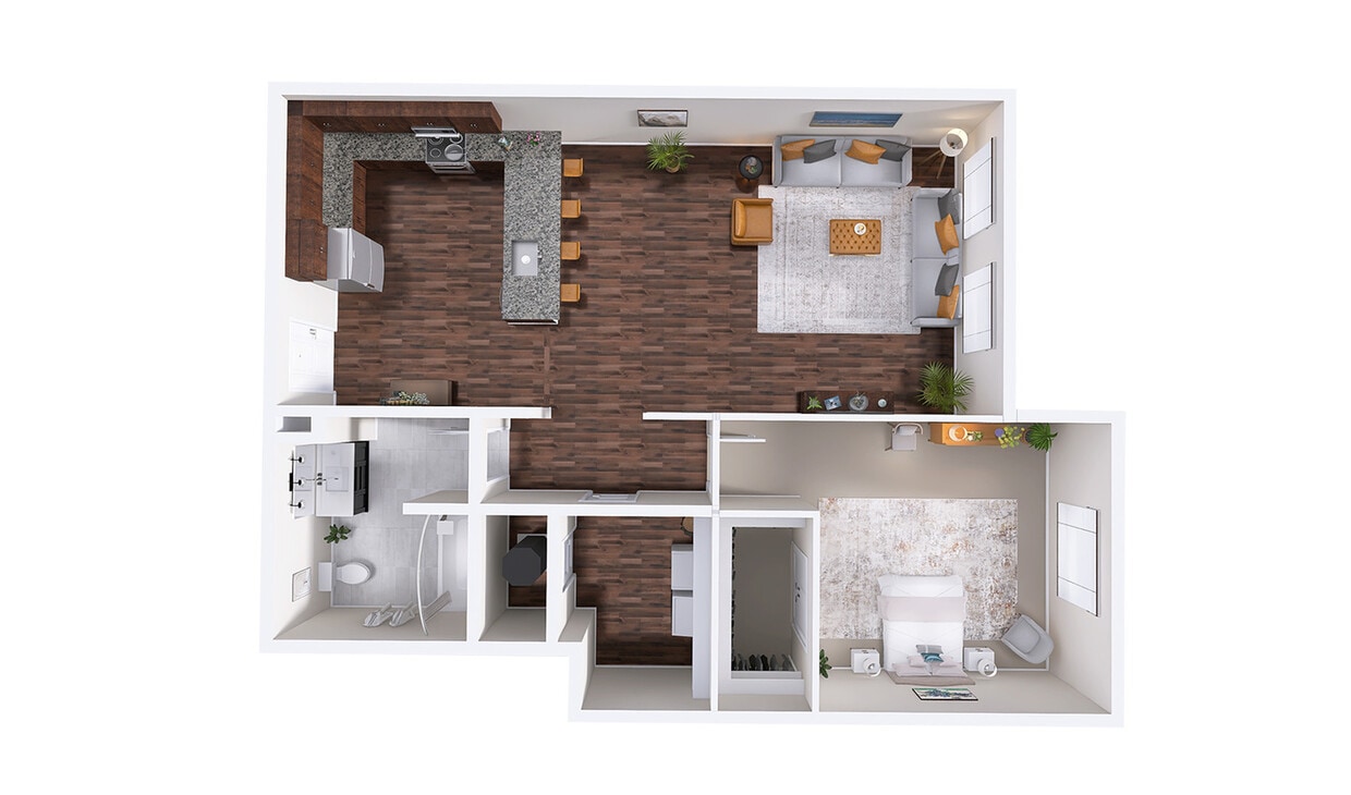 VIOLA-1_Entrata - Viola