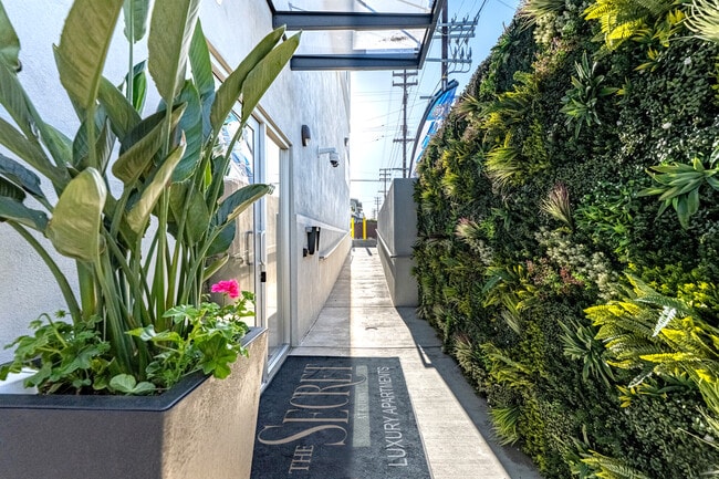 Photo - The SECRET in K-Town, 3050 W 11th St.