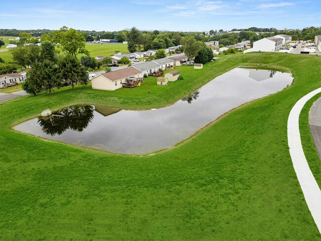 Photo - Foxtail Mills