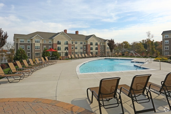 Salt Water Pool - The Overlook