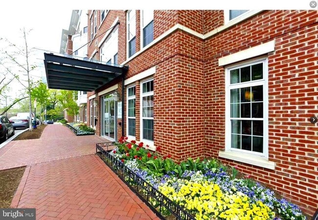 Photo - 1451 Belmont St NW Unit 202