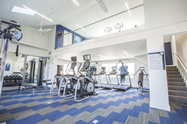 From cardio to weights, our fully equipped fitness center gives you everything you need to stay active, healthy, and motivated. - The Coleman Canal Winchester