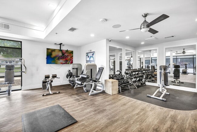 Markethaus 3700 Apartments in Plano, Texas - Markethaus 3700