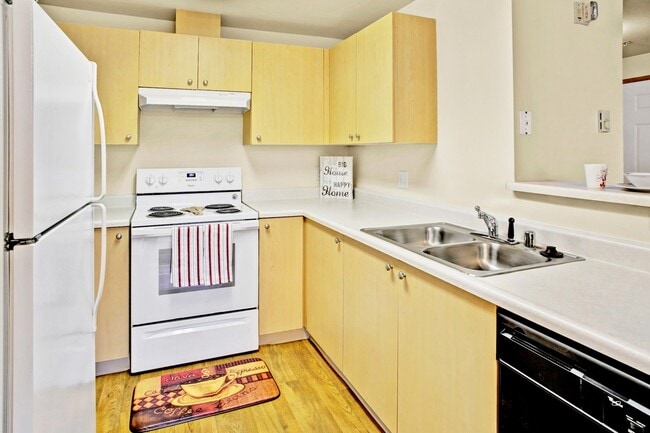 Photo - Sunrise Lane