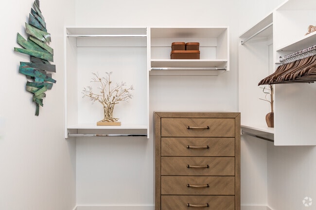 2BR, 2BA - 1,188SF - Primary Closet - Ascend at Hilltop