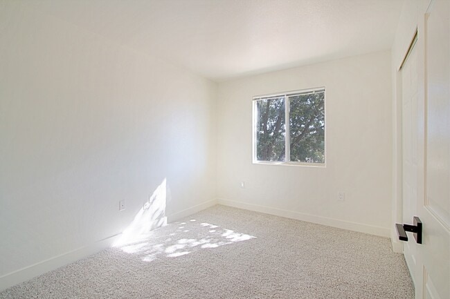 Photo - Marana Apartments