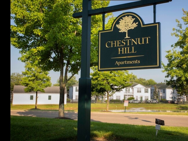 Photo - Chestnut Hill Apartments