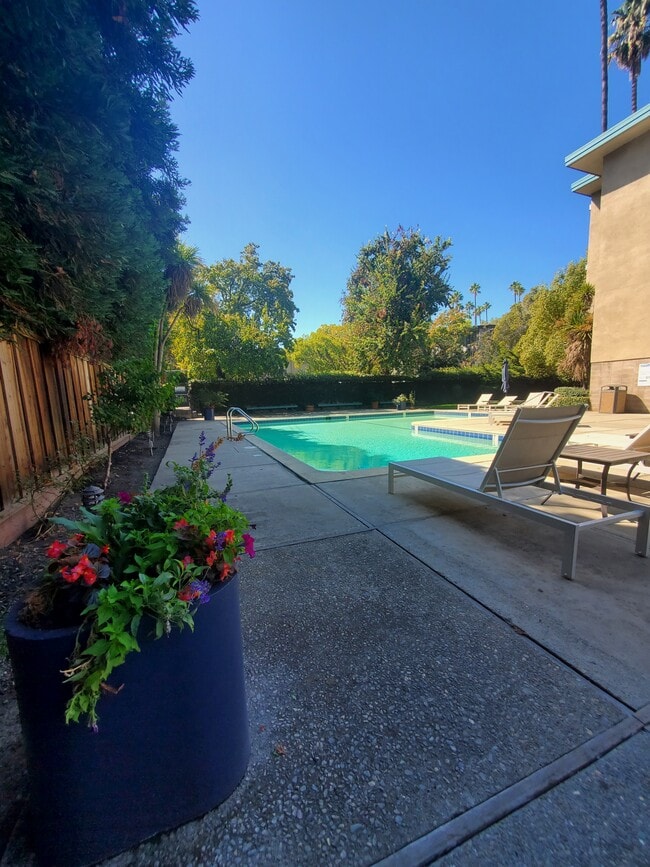 Comfortable Pool Lounges - Fayette Arms Apartments