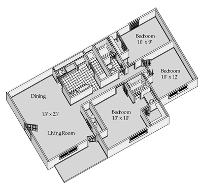 Arabian - The Arabian