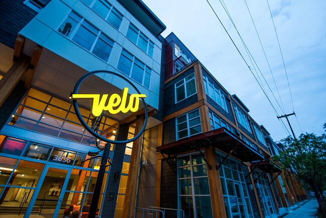 Photo - Velo and Ray