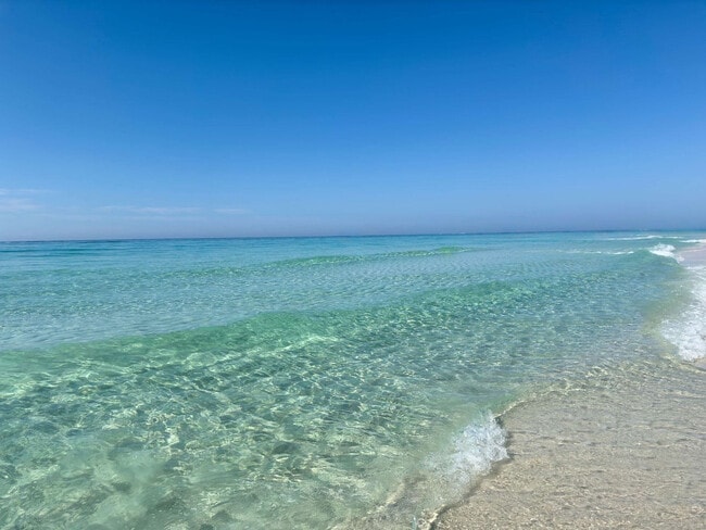 Photo - 4000 Gulf Terrace Dr Unit ID1285894P