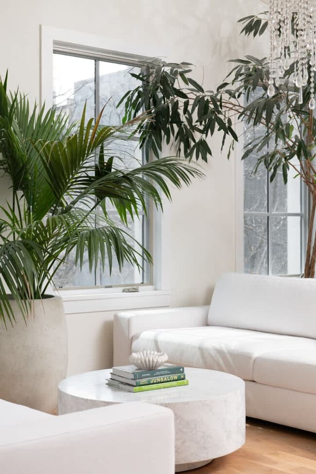 Photo - 22 E Elm St Unit ID1364276P