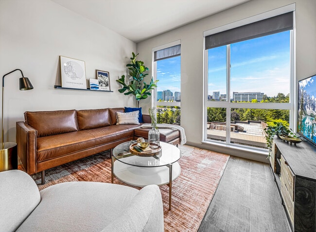 Photo - AMLI Spring District