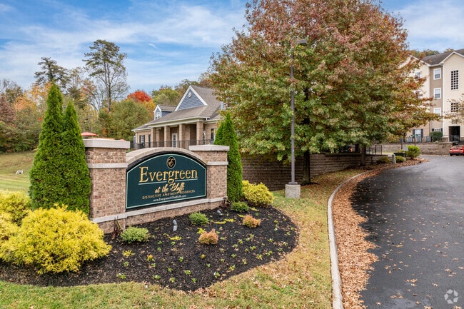 Photo - Evergreen at the Bluffs