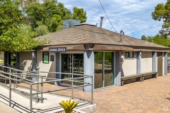 Photo - Park Shadows