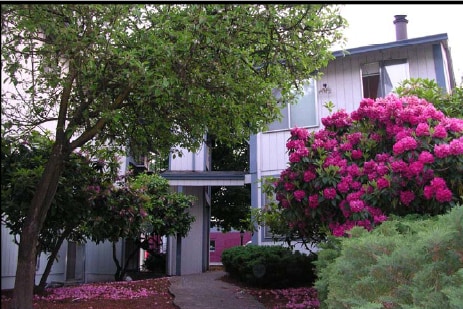 Photo - Timber Terrace