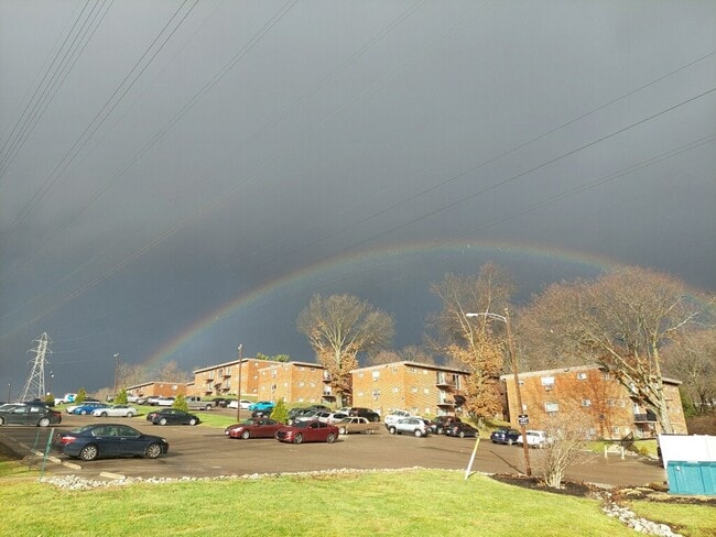 Cincinnati Fido Park Place Tower Valley Flats Apartments