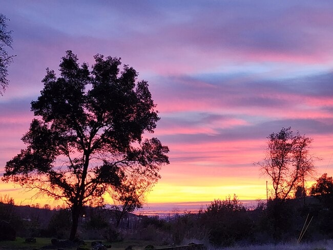 Photo - Paradise Boutique Apartments