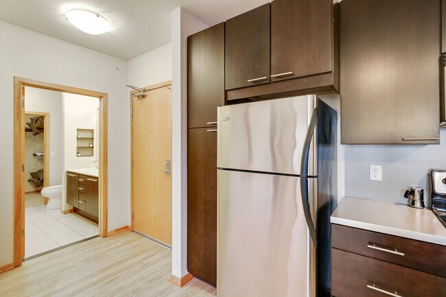 Photo - Blue and Lime