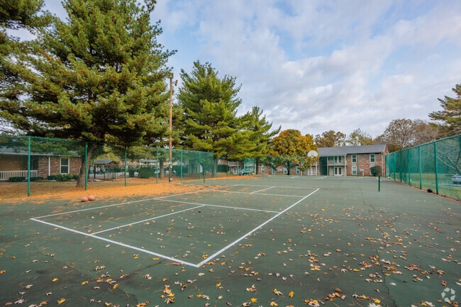 Basketball & Pickleball Court - Kingwood