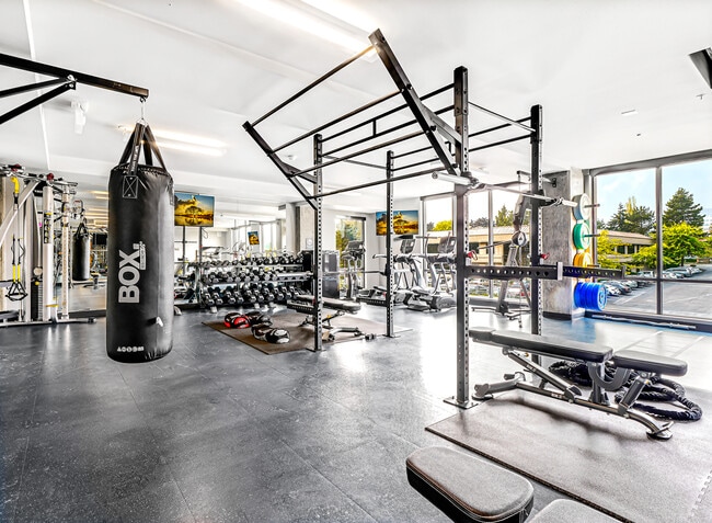 Photo - AMLI Spring District