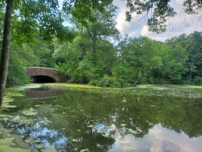 Photo - 85 Glen Rd Unit SI ID1271285P