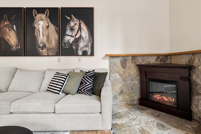 Photo - 70335 Sword Fern Unit ID1341340P