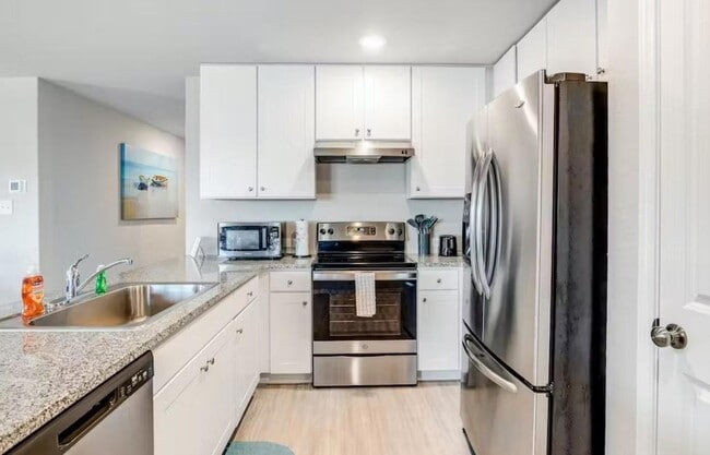 Photo - 1927 Grey Catbird