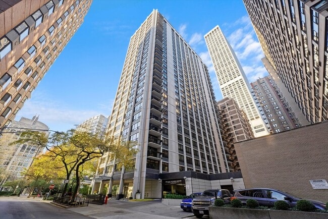 Building Photo - 222 E Pearson St Unit 2406
