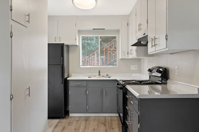 Photo - ReNew Miramonte