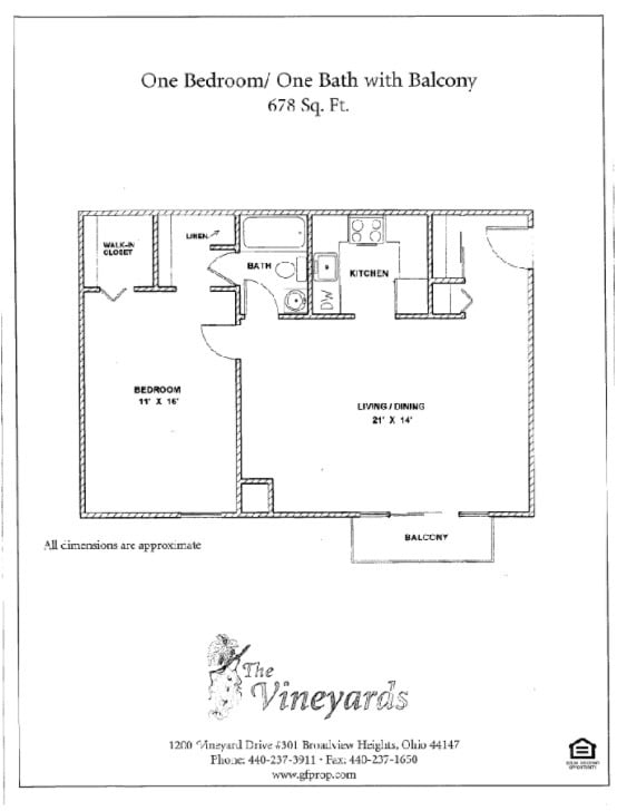 Photo - The Vineyards